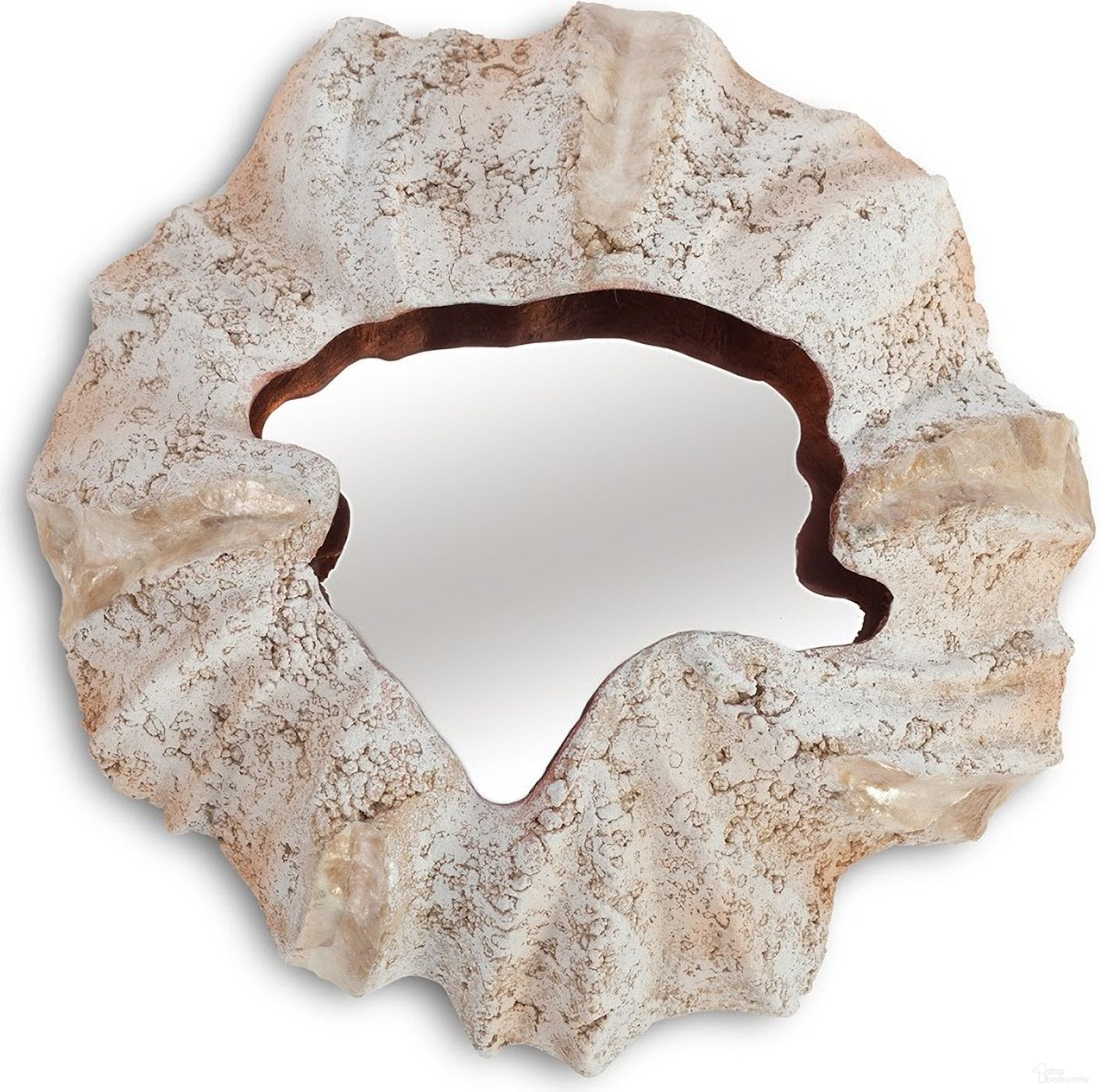 Barnacle Wall Art