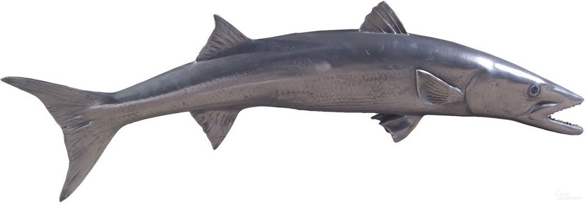 Barracuda Fish PH64559