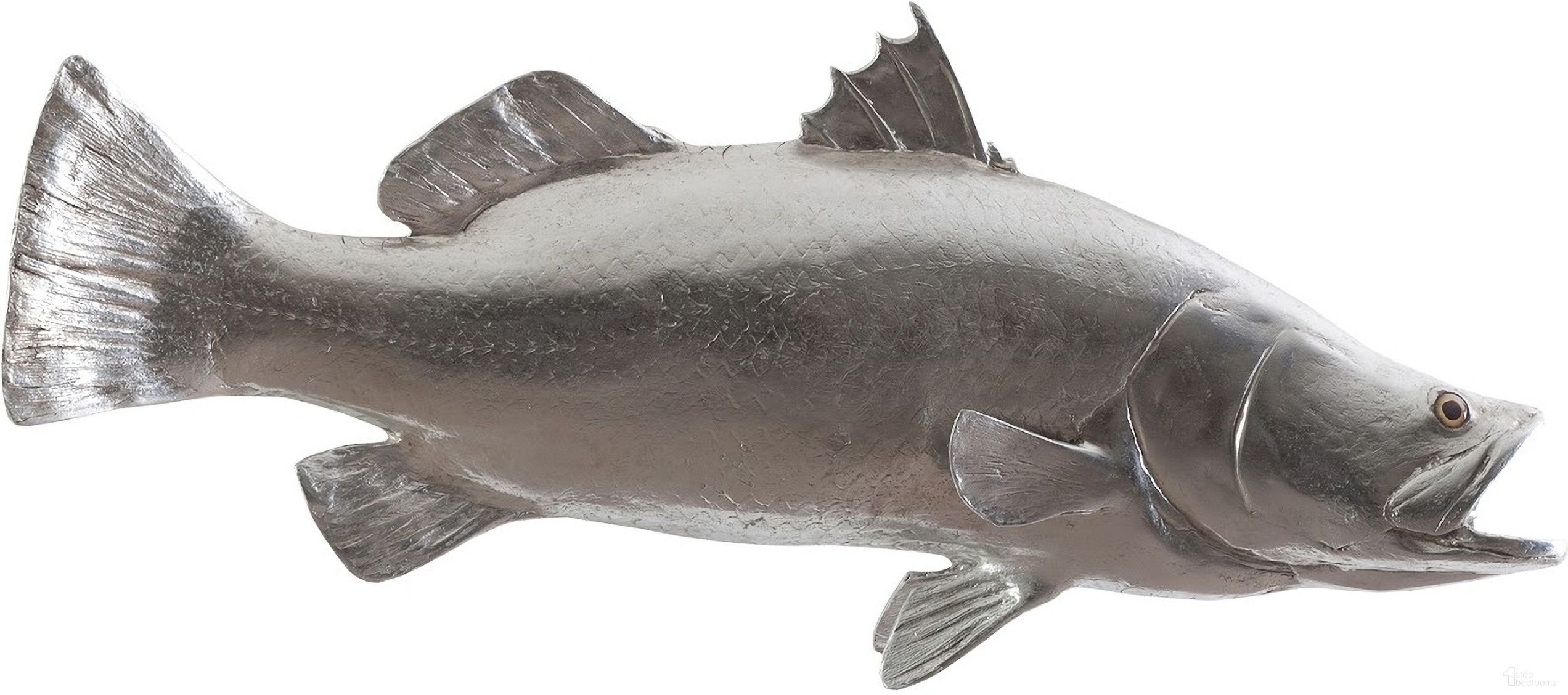 Barramundi Fish