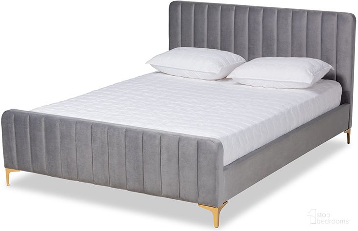 Baxton Studio Nami Modern Contemporary Glam and Luxe Light Grey Velvet Fabric Upholstered and Gold Finished King Size Platform Bed