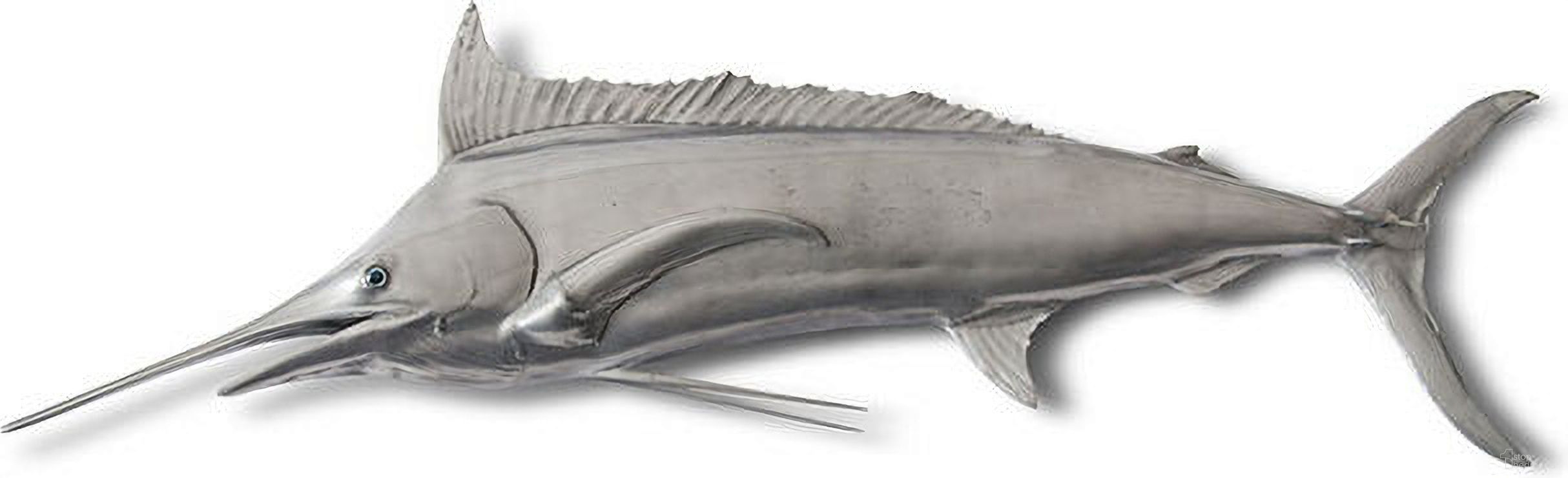 Blue Marlin Fish In Grey