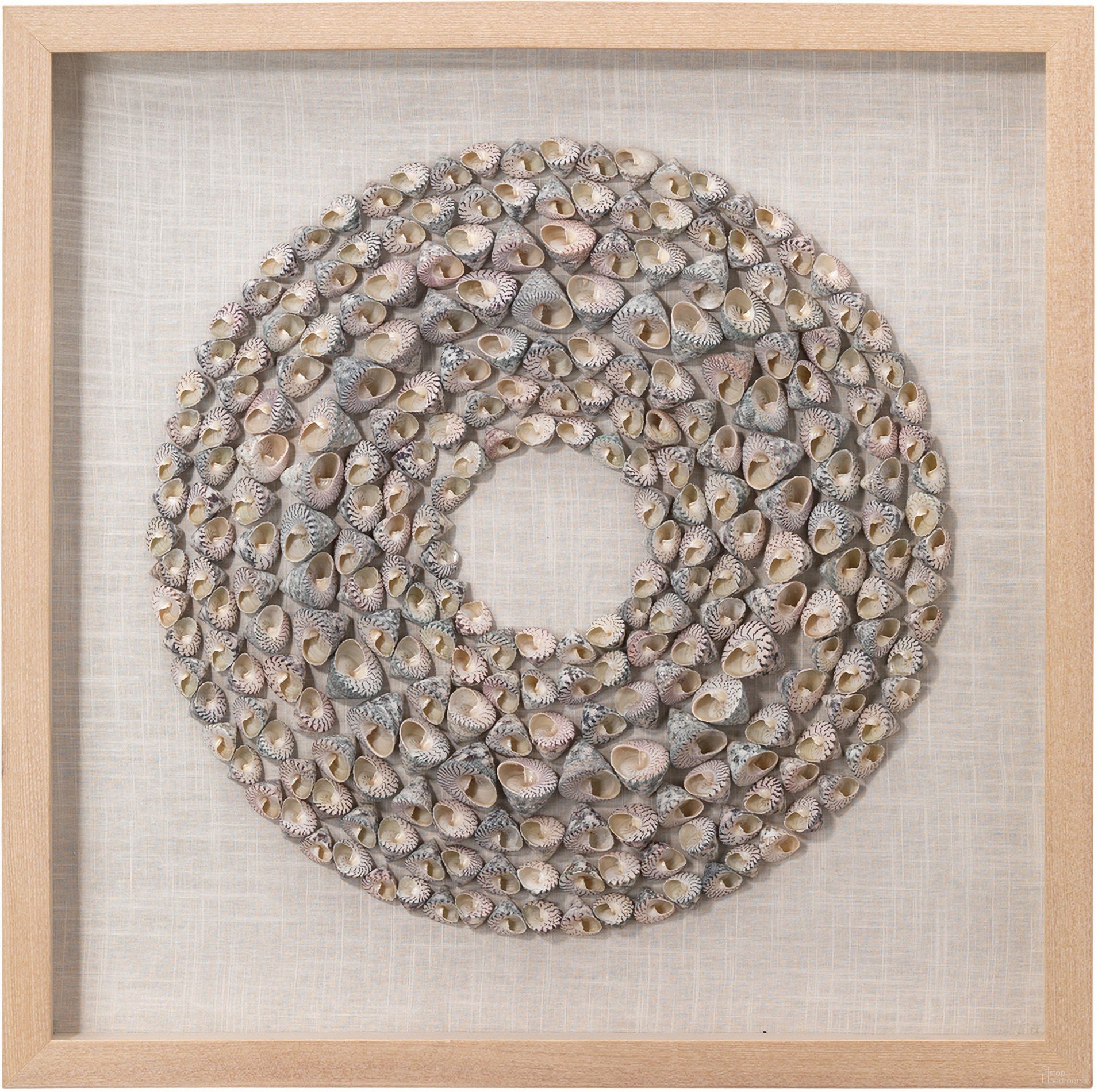Bora Framed Wall Art in Taupe Snail Shell