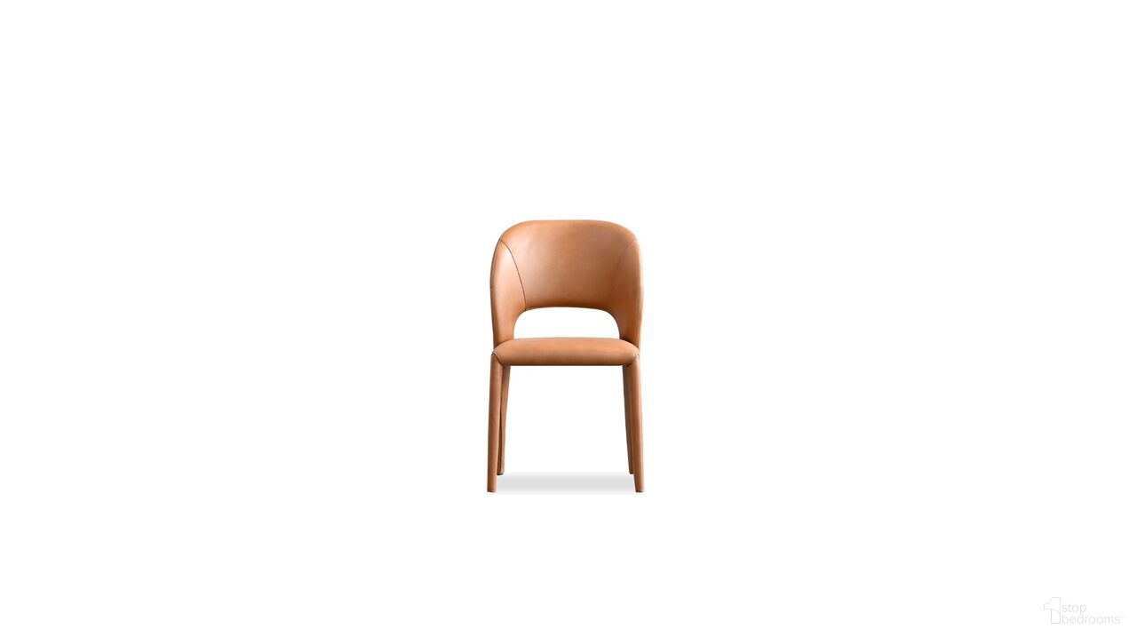 Bosco Dining Chair Set of 2 In Palomino Sauvage
