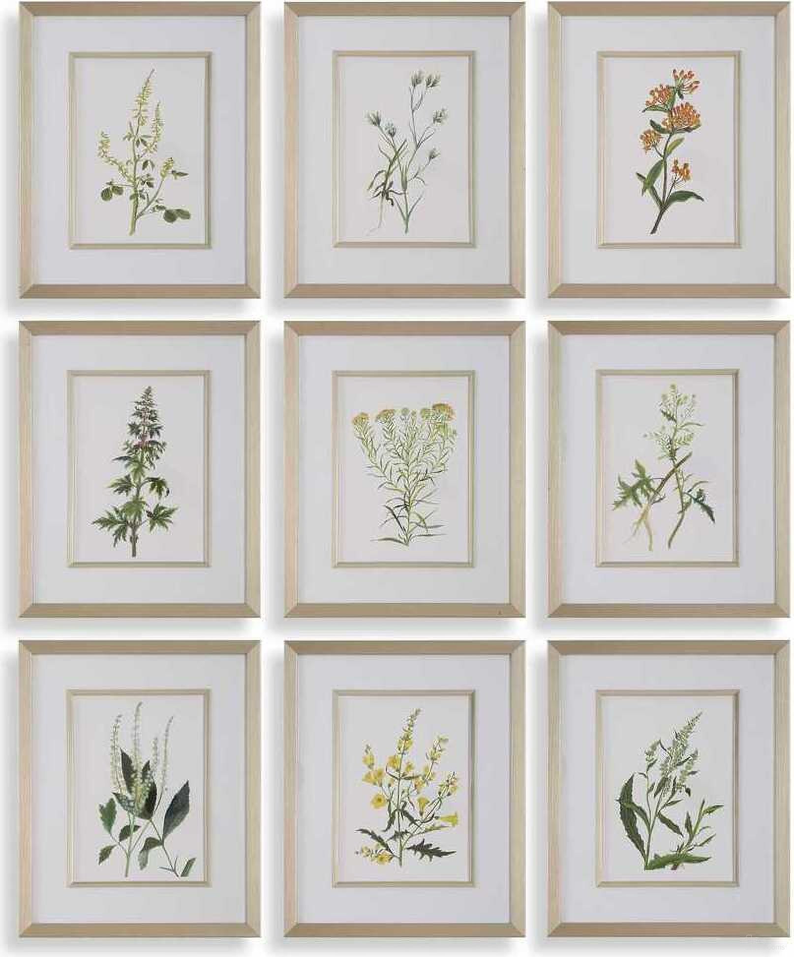 The appearance of Botanical Flowers Framed Prints Set of 9 In Multi designed by Uttermost in the transitional interior design. This multi piece of furniture was selected by 1StopBedrooms from Botanical Flowers Collection to add a touch of cosiness and style into your home. Sku: 32339. Material: Plastic.