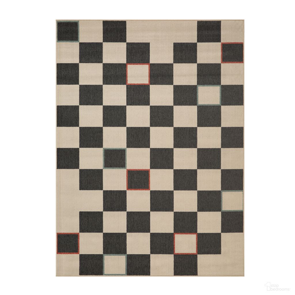 Calira Anvia Evette Rios Indoor/Outdoor Area Rug In Black and Ivory