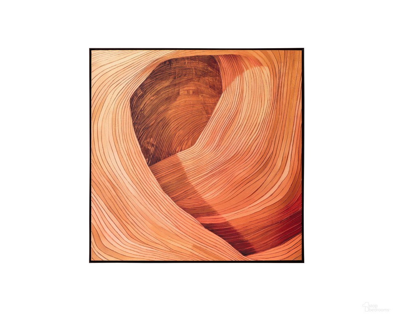 Canyon Dreams II 48" x 48" Accent Wall Art In Black and Orange