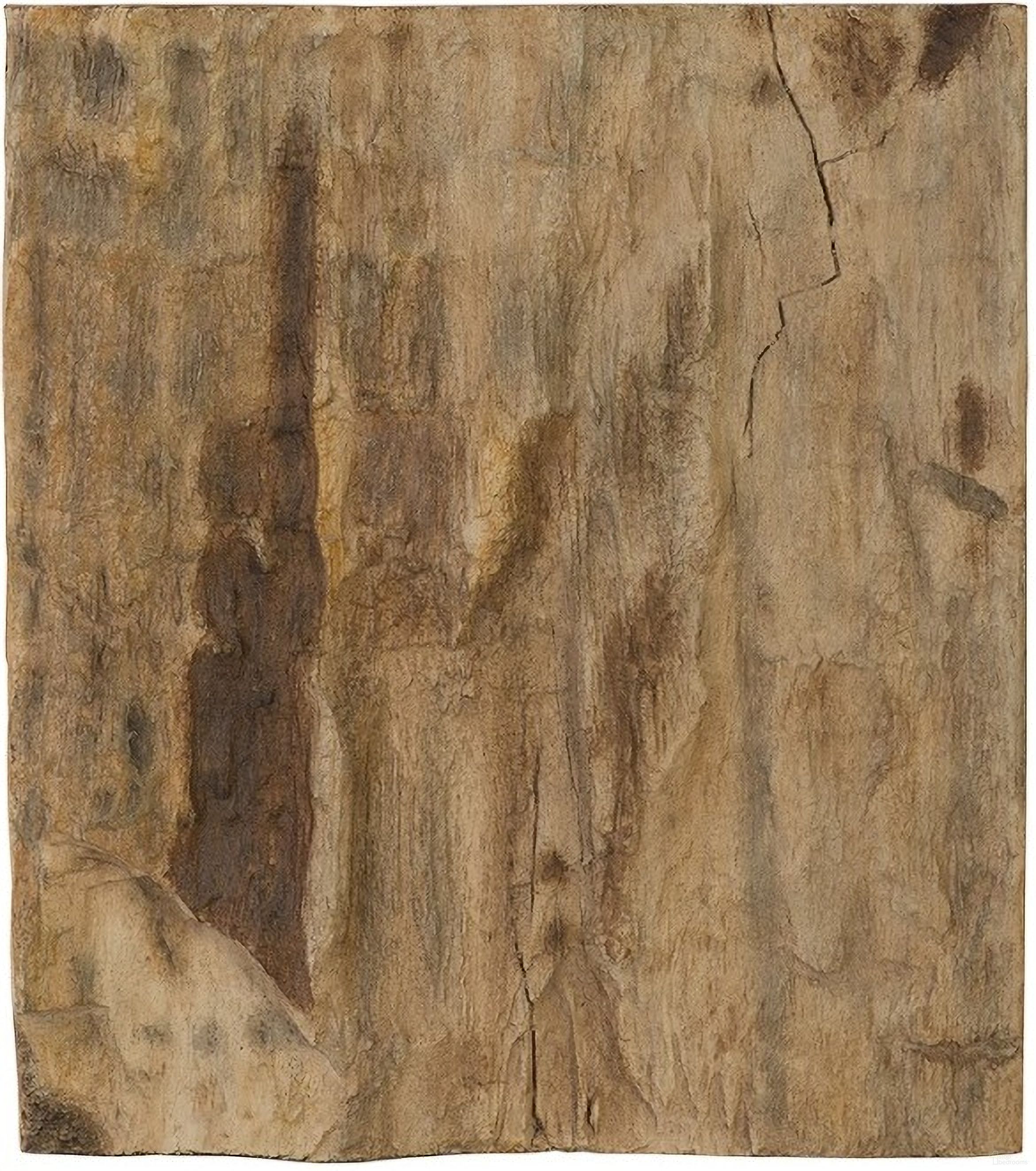 The appearance of Cast Petrified Wood Wall Tile PH89988 designed by Phillips Collection in the modern / contemporary interior design. This brown piece of furniture was selected by 1StopBedrooms from Cast Naturals Collection to add a touch of cosiness and style into your home. Sku: PH89988. Material: Resin.