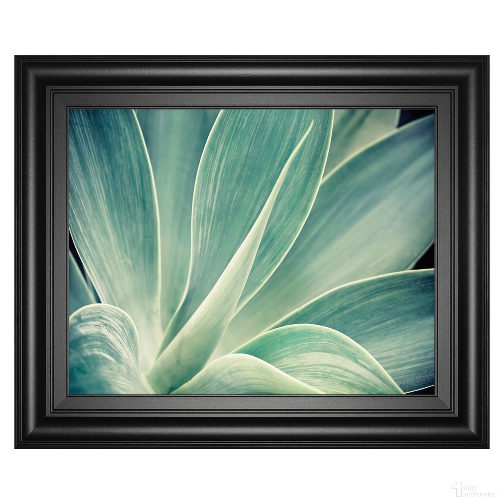 Classy Art Fresnillo Wall Art In Soft Green