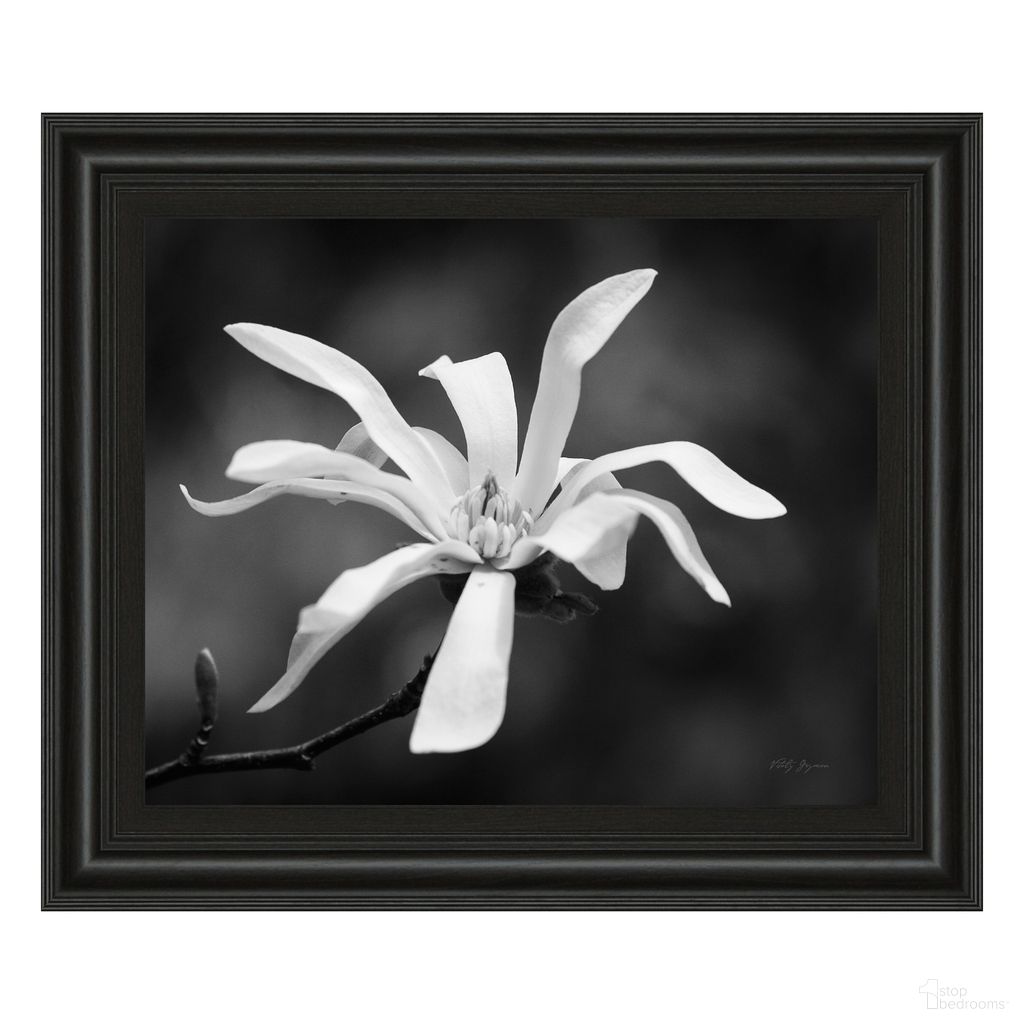 The appearance of Classy Art Magnolia Grace Wall Art In Black and White designed by Classy Living in the modern / contemporary interior design. This black/white piece of furniture was selected by 1StopBedrooms from Classy Art Collection to add a touch of cosiness and style into your home. Sku: 4988. Material: MDF.
