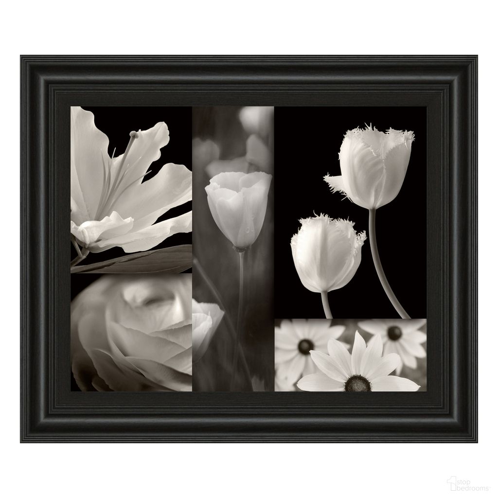 The appearance of Classy Art Monochrome Blooms Wall Art In Black and White designed by Classy Living in the modern / contemporary interior design. This black/white piece of furniture was selected by 1StopBedrooms from Classy Art Collection to add a touch of cosiness and style into your home. Sku: 4747. Material: MDF.