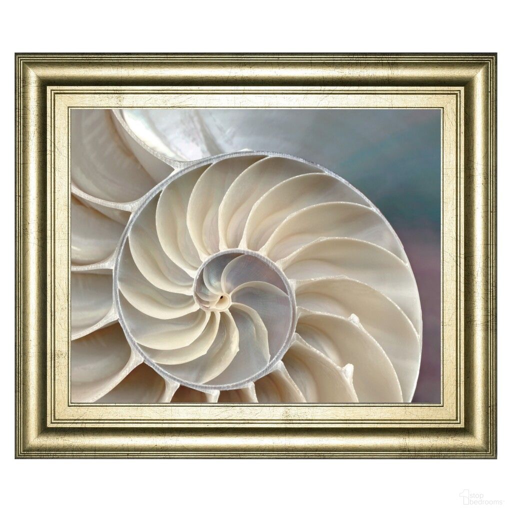 Classy Art Nautilus Spiral Wall Art In Cream