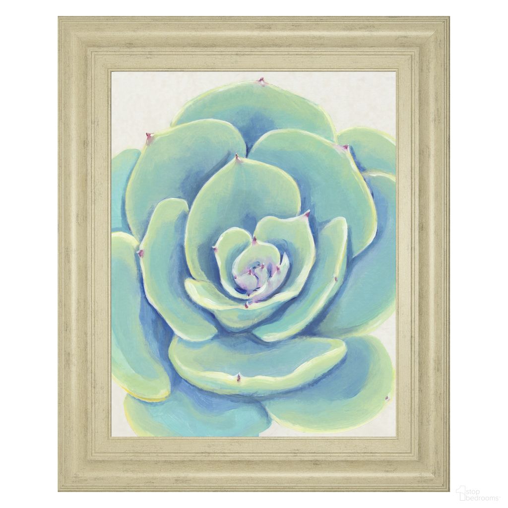 Classy Art Pastel Succulent IV Wall Art In Multi