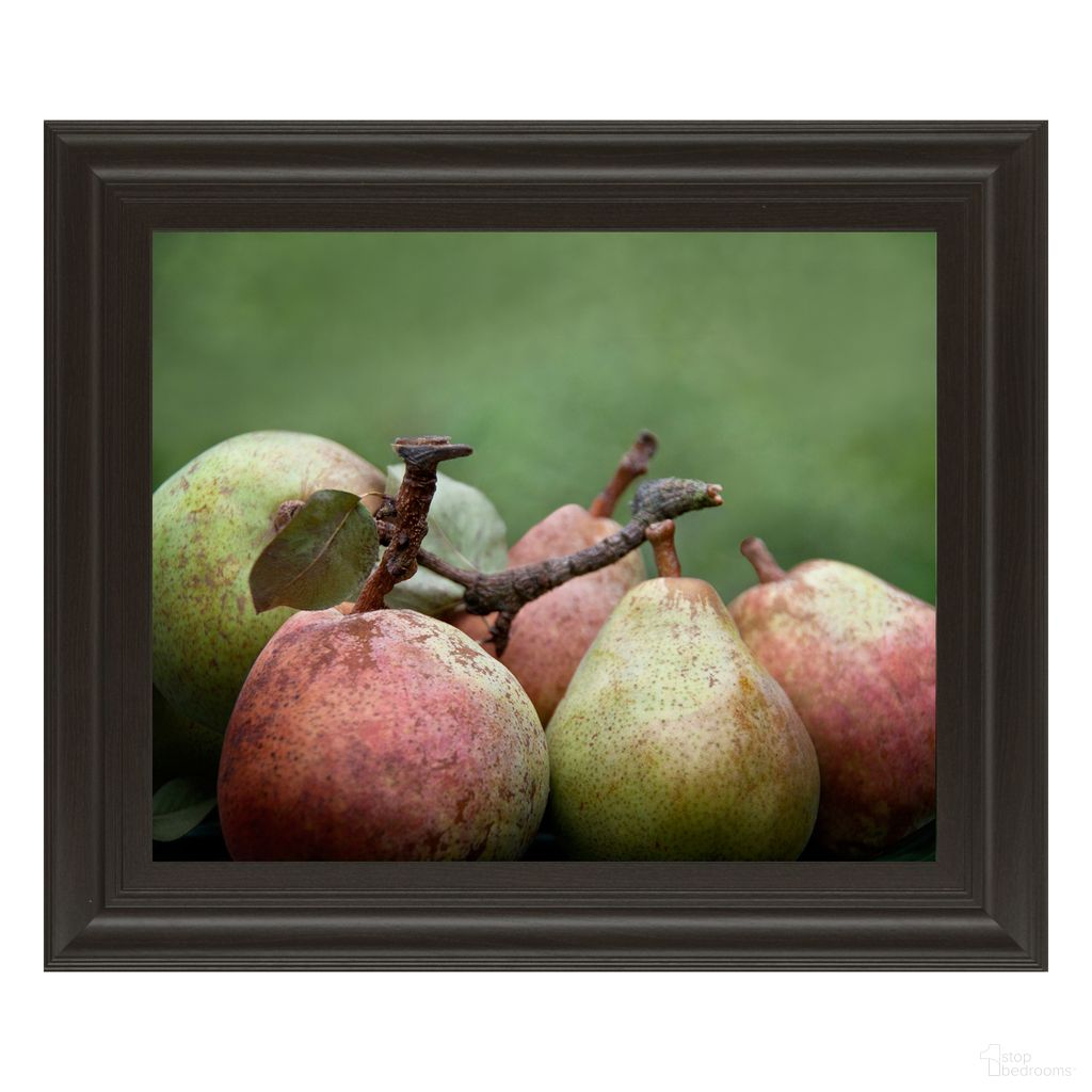 Classy Art Ripe Pears Still Life Wall Art In Brown and Green