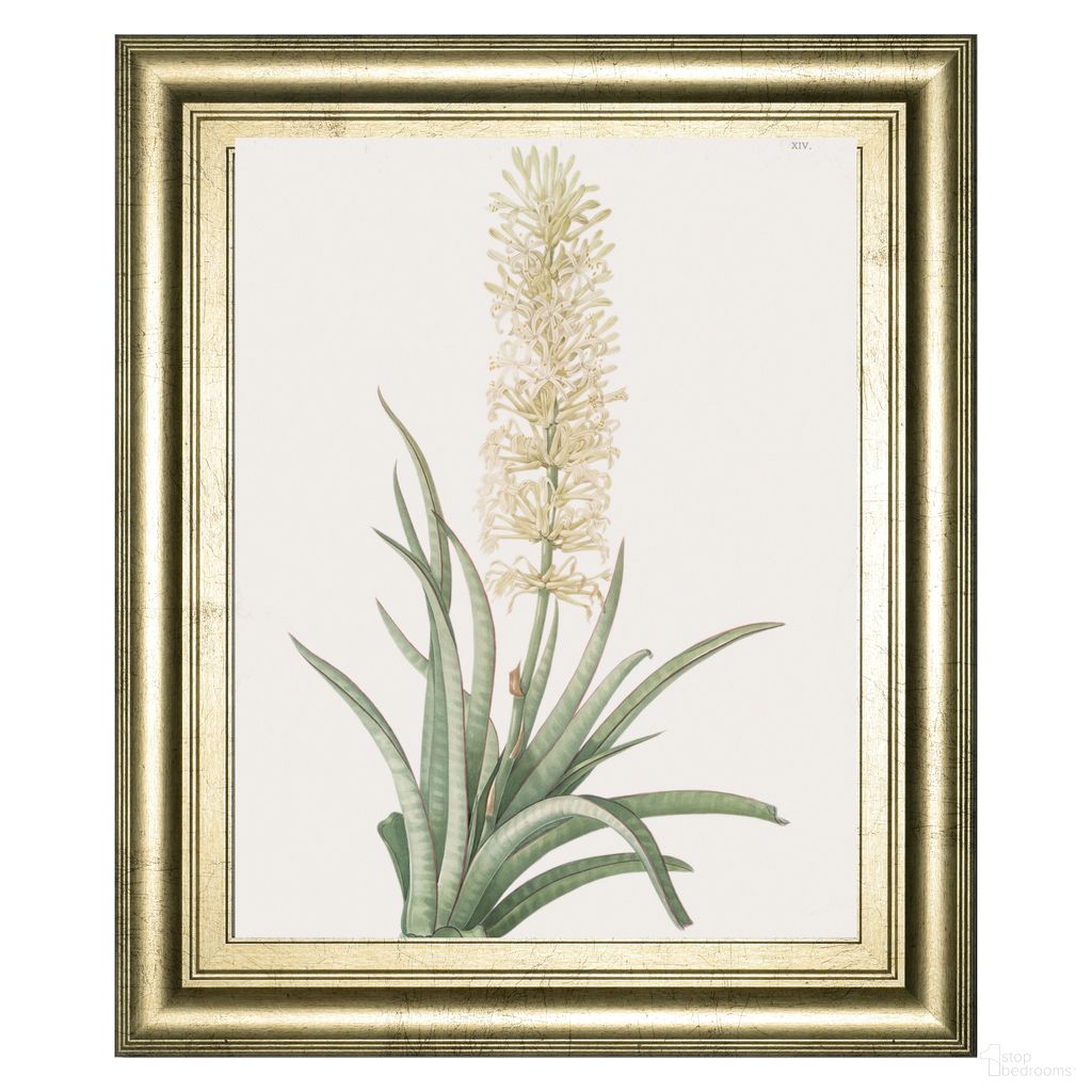 Classy Art Sansevieria Bloom Wall Art In Green and Beige