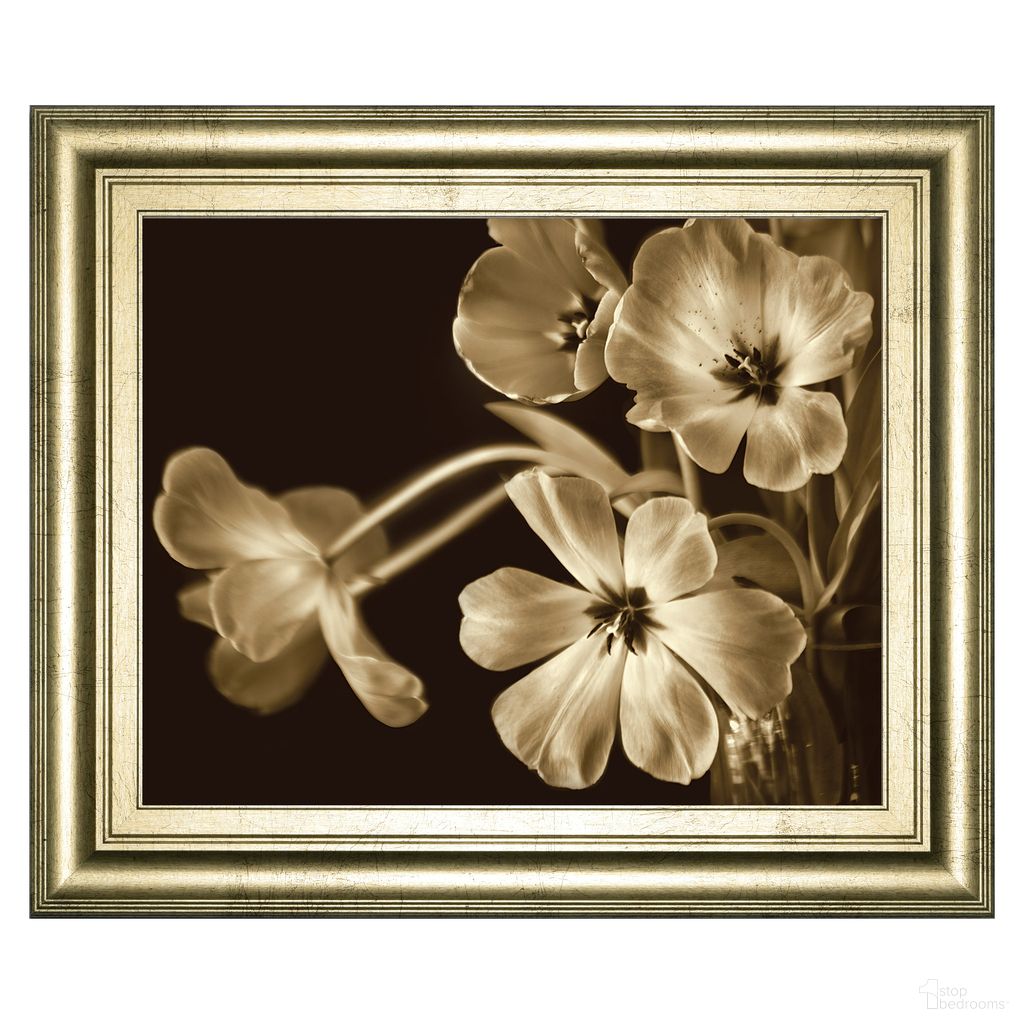 Classy Art Sepia Blooms Wall Art In Golden Beige