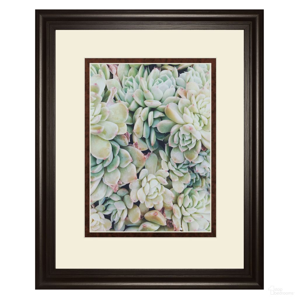 Classy Art Translucent Succulents Wall Art - Double Mat In Brown and Green