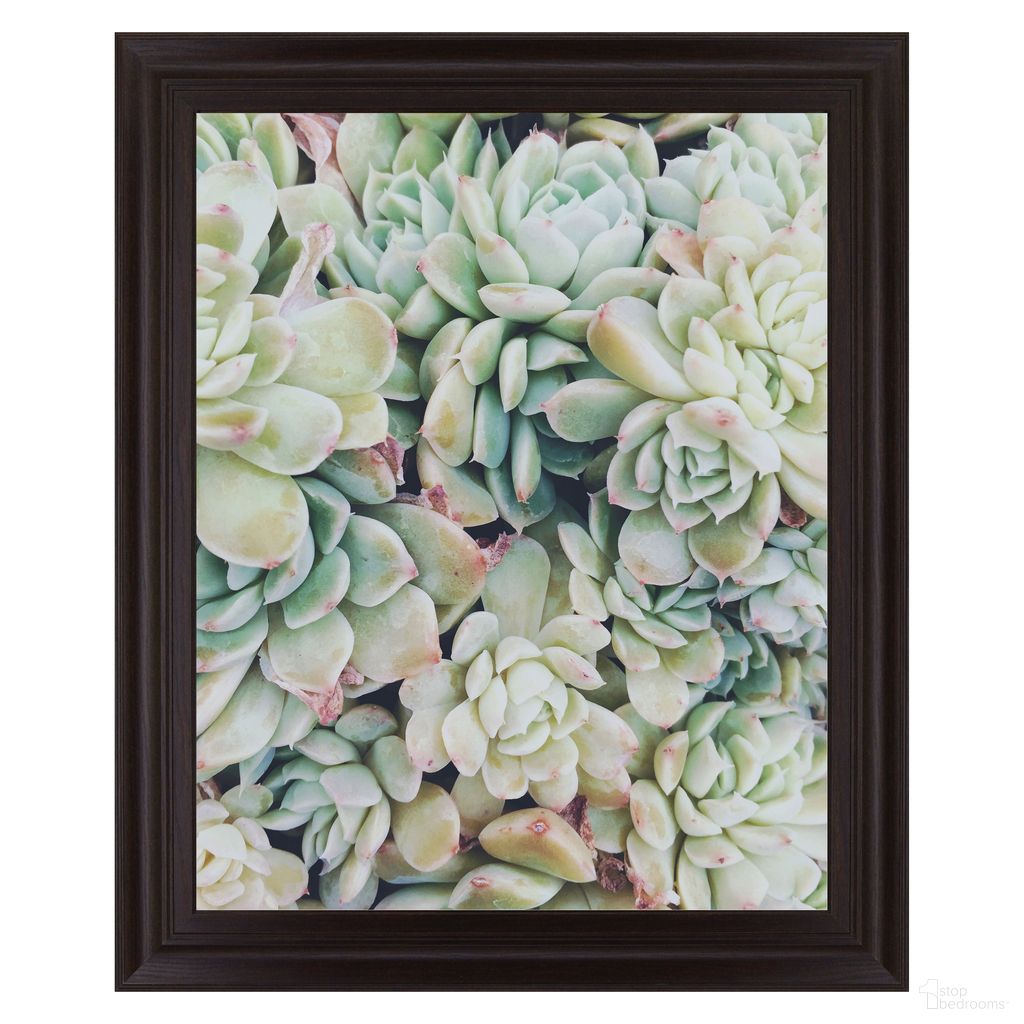 Classy Art Translucent Succulents Wall Art - No Mat In Brown and Green