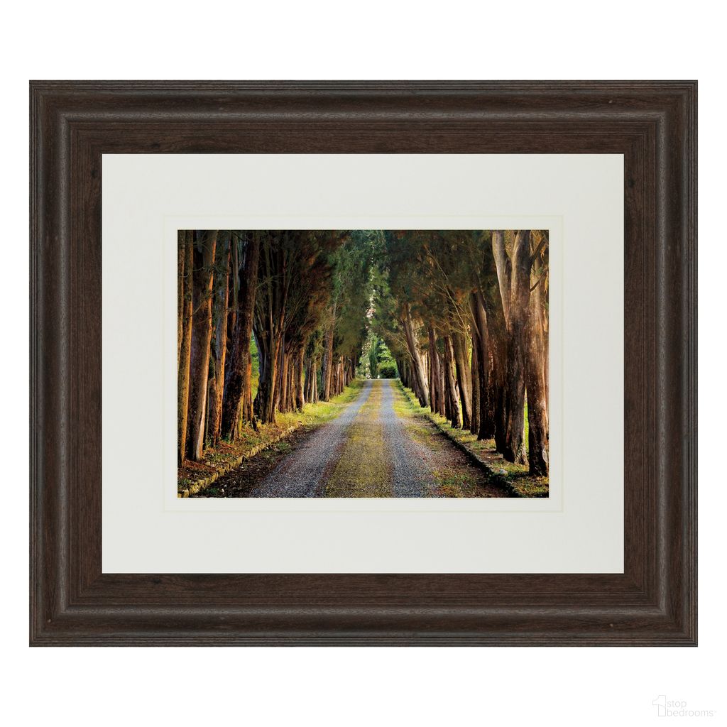 Classy Art Tree Tunnel Wall Art - Double Mat In Brown and Green