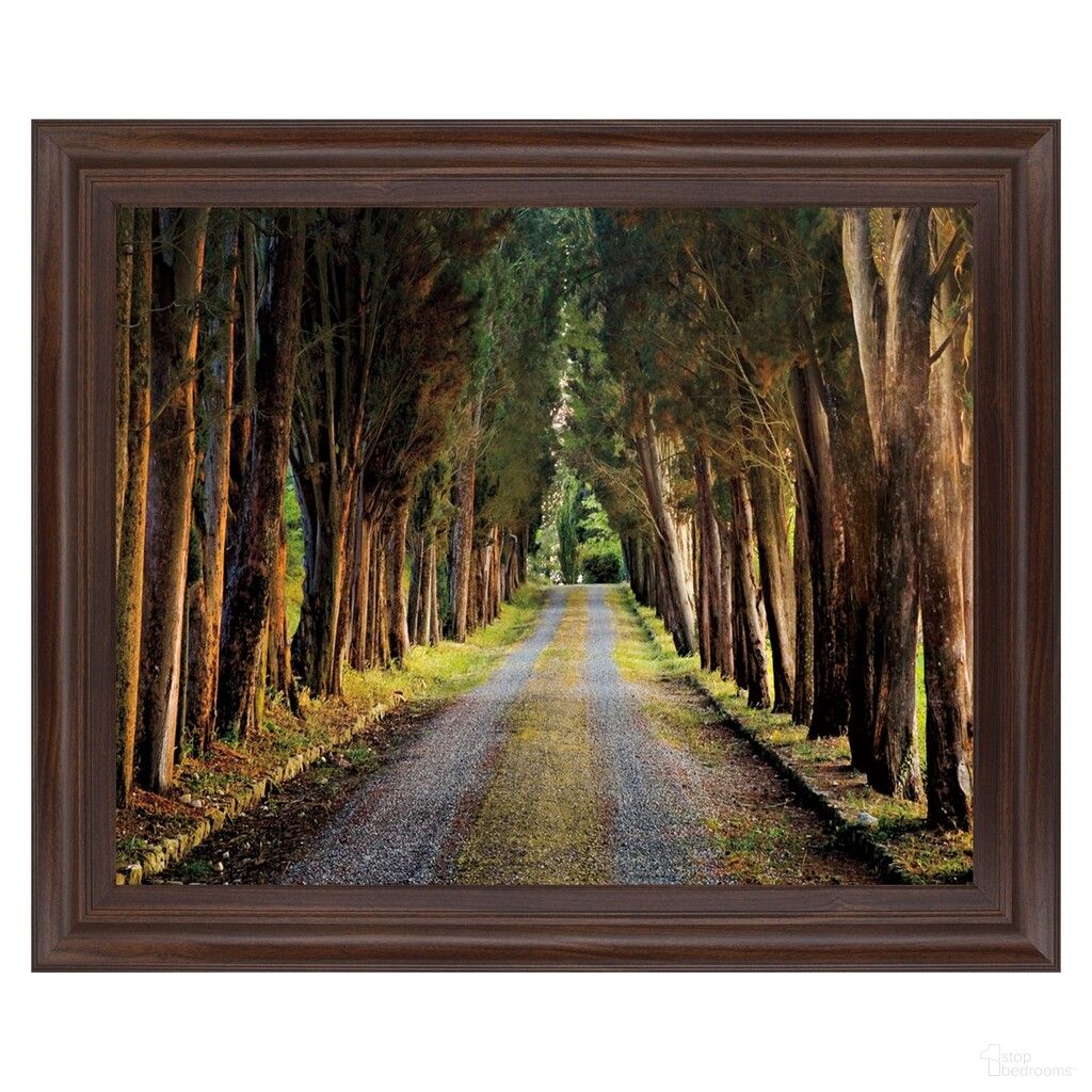 Classy Art Tree Tunnel Wall Art - No Mat In Brown and Green