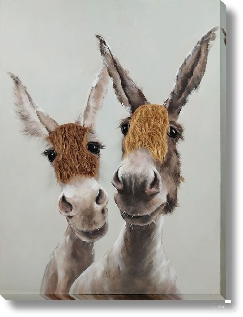 Contemplative Cheeky Donkey Duo Canvas Wall Art In Multi