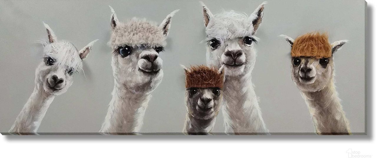 Contemplative Llama Squad with Quirky Bangs Canvas Wall Art In Multi