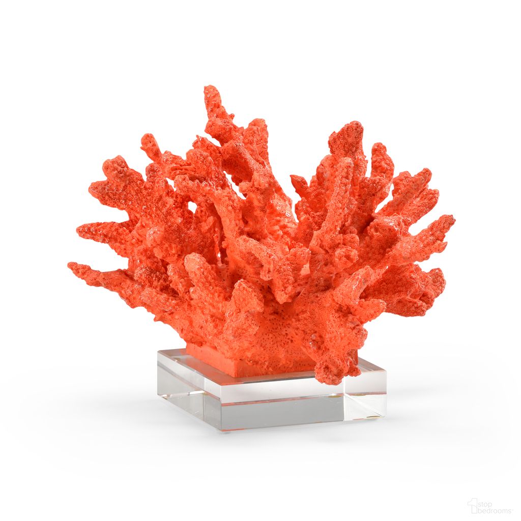 Coral In Red