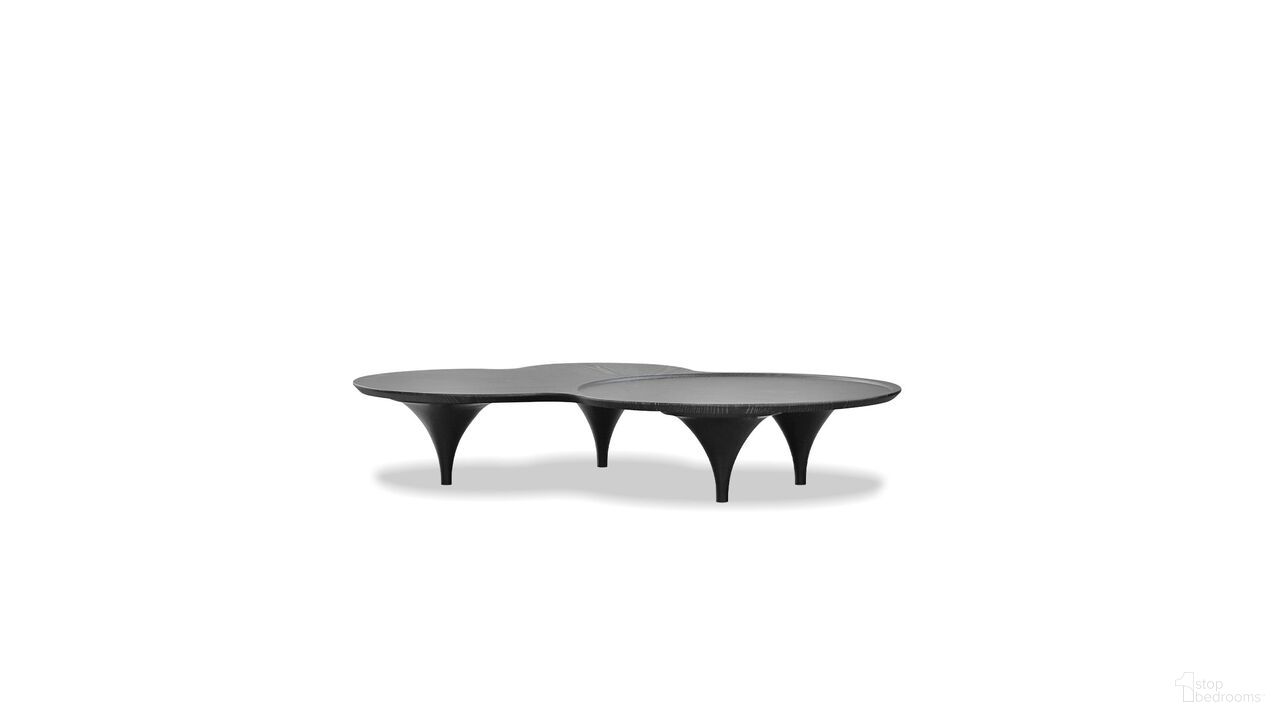 The appearance of Coupe Coffee Table Birch Legs In Vintage Black Wash designed by Mobital in the rustic / southwestern interior design. This vintage black wash piece of furniture was selected by 1StopBedrooms from Coupe Collection to add a touch of cosiness and style into your home. Sku: WCO-COUP-BLAC-BIRCH. Material: Wood.