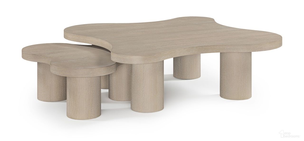 Cove Oak Veneer and Solid Wood 2-Piece Coffee Table In Natural