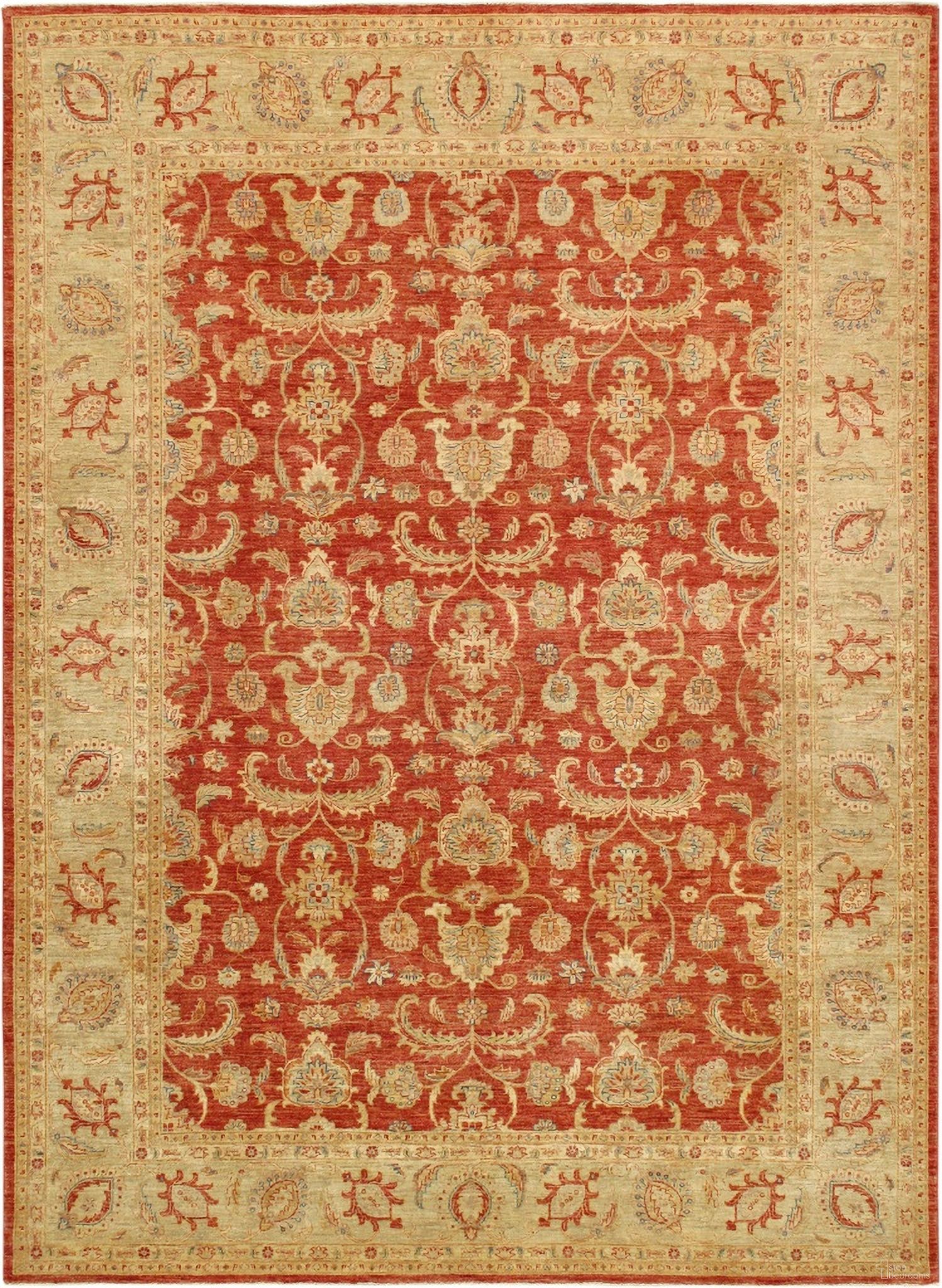 Denver Hand-Knotted Lamb's Wool Area Rug- 8'10" x 11'11" In Green and Rust