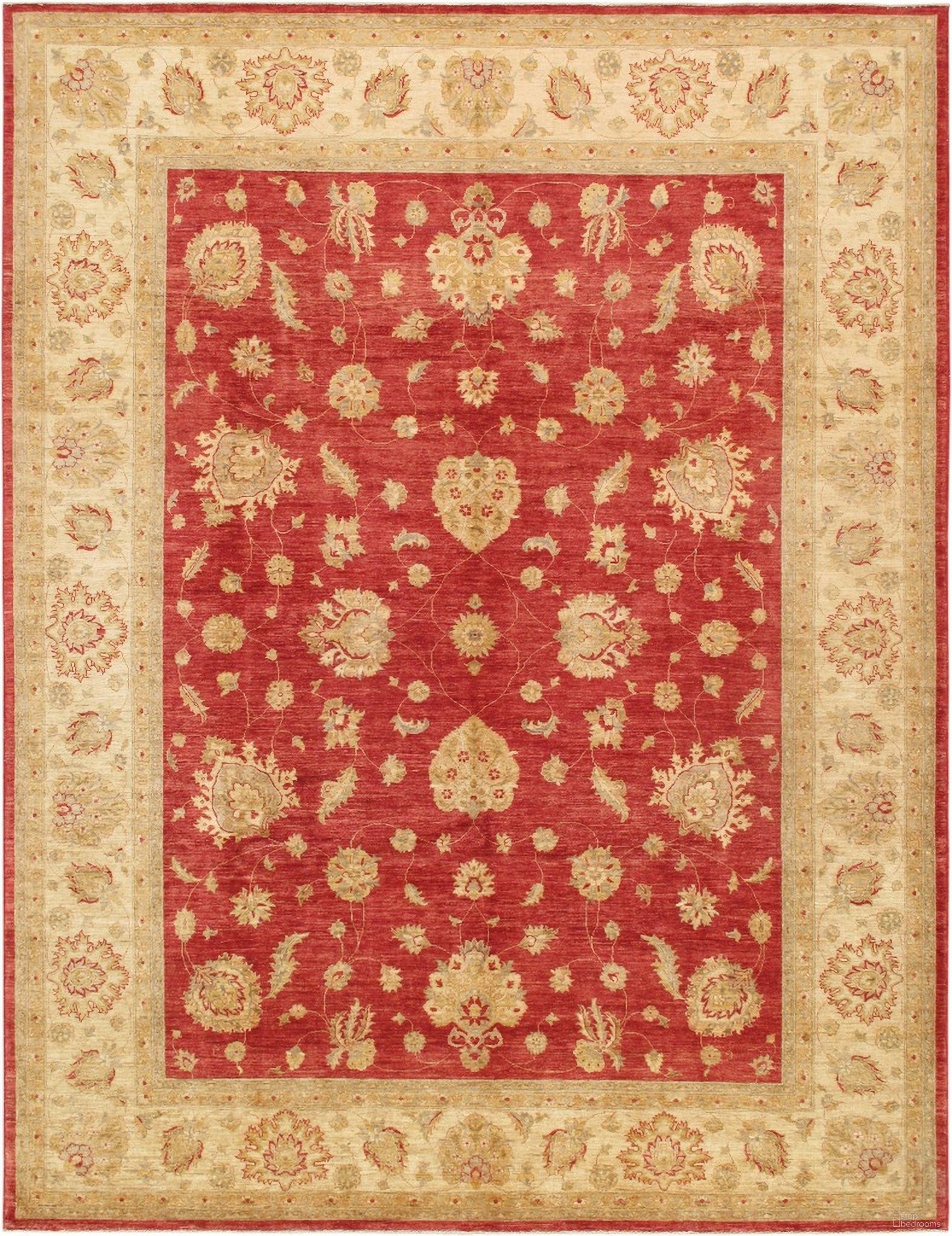 Denver Hand-Knotted Lamb's Wool Area Rug- 8'10" x 11' 8" In Rust and Beige