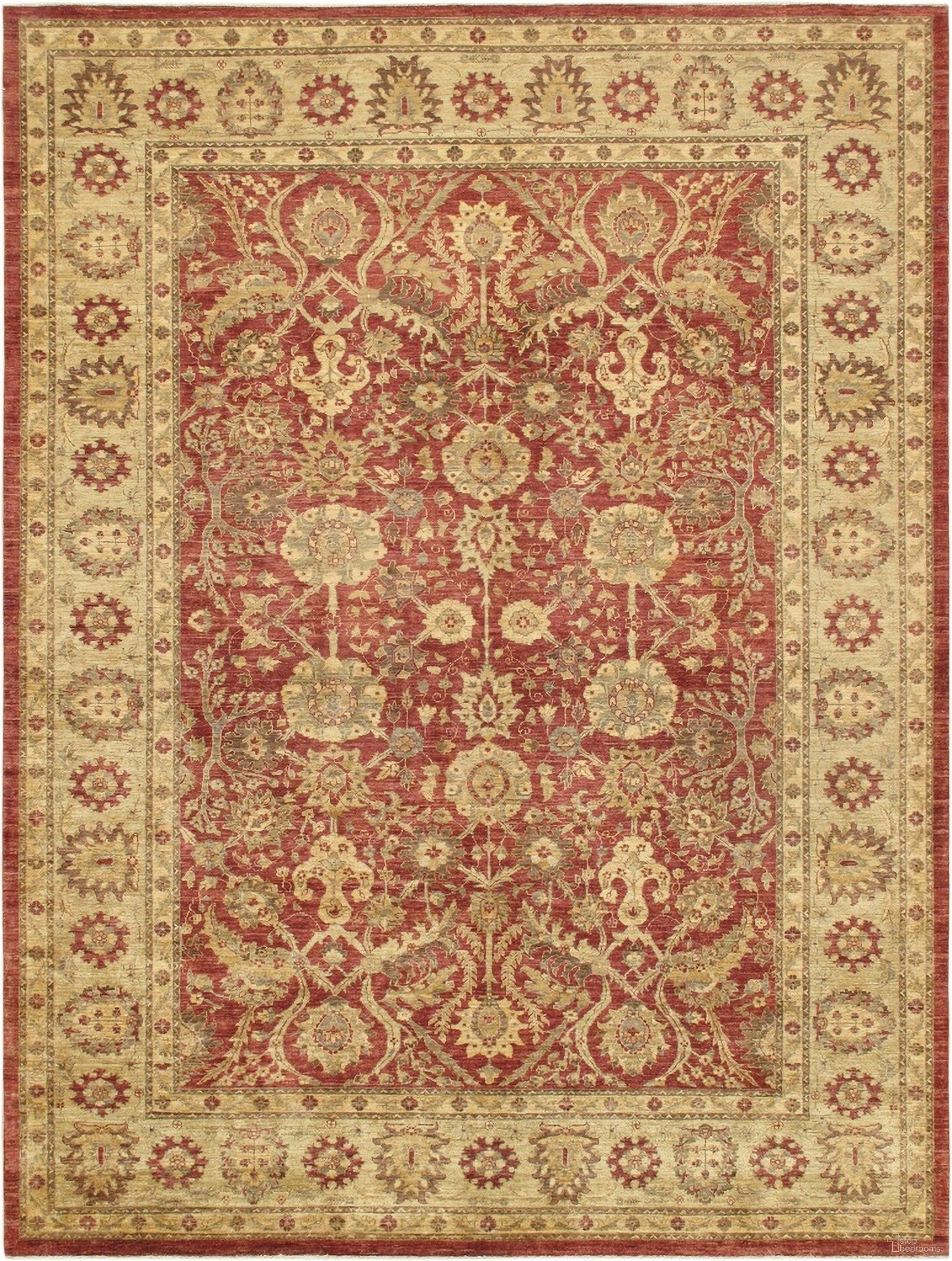 Denver Hand-Knotted Lamb's Wool Area Rug- 9' 1" x 12' In Rust and Beige
