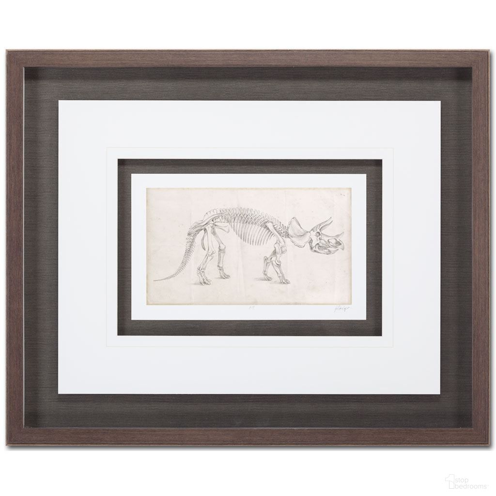 Dinosaur Study MC II Framed Wall Art In Black and Brown