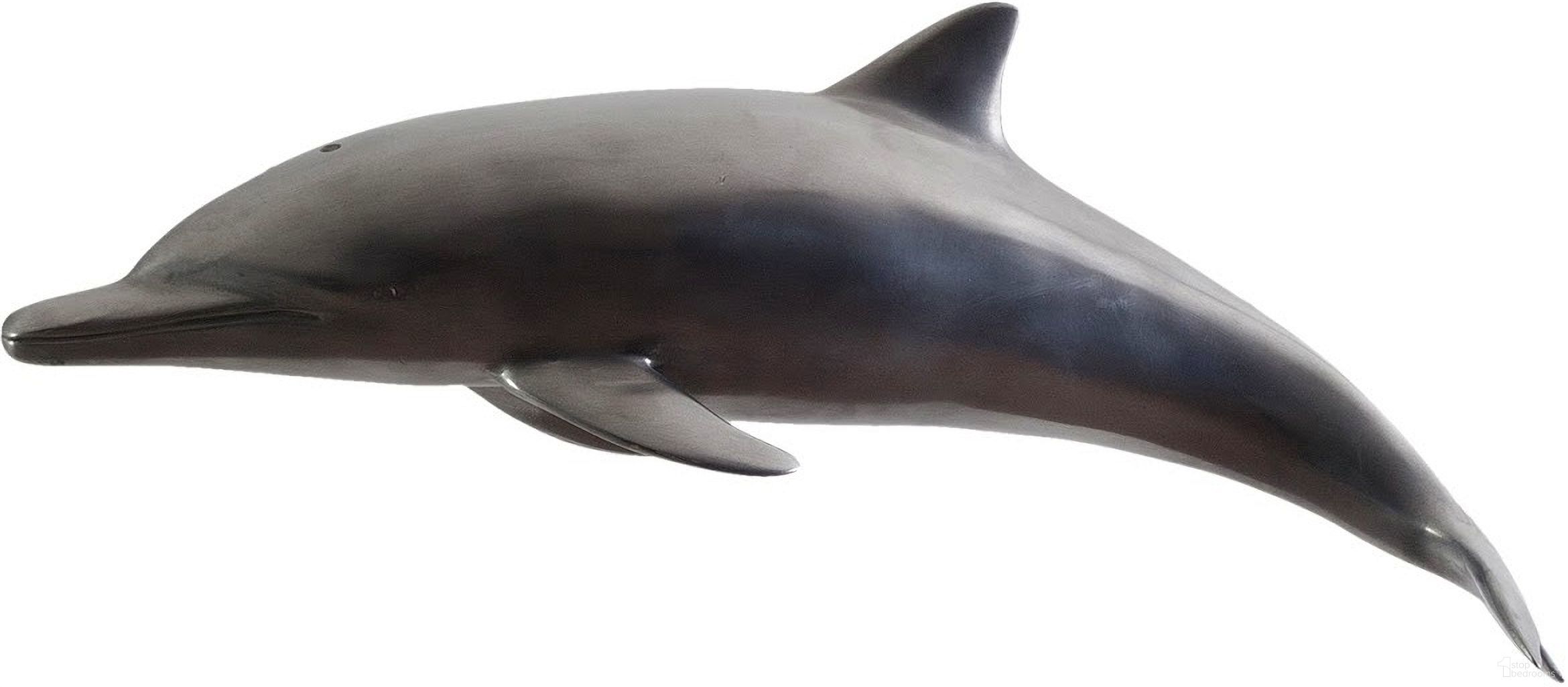 Dolphin PH64554
