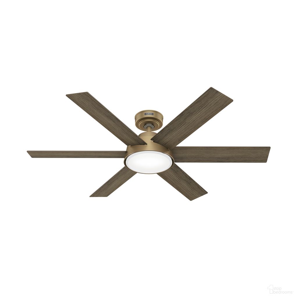 The appearance of Donatella 52 Inch Ceiling Fan with LED Light Kit and Handheld Remote In Luxe Gold and Warm Grey Oak designed by Hunter Fan in the modern / contemporary interior design. This luxe gold/warm grey oak piece of furniture  was selected by 1StopBedrooms from Donatella Collection to add a touch of cosiness and style into your home. Sku: 51852. Material: MDF.