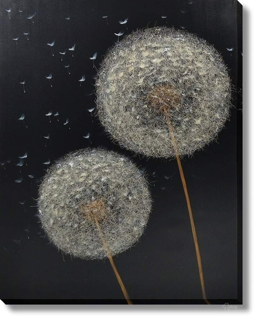 Dramatic Wish Dandelions Canvas Wall Art In Midnight