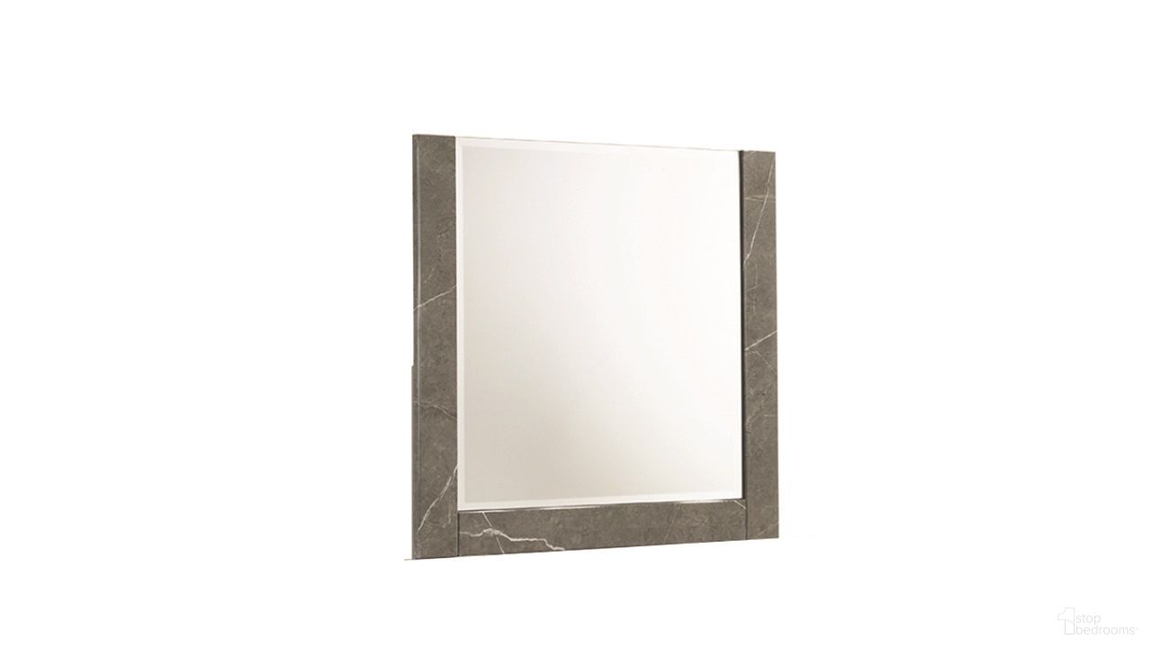 Elara Mirror In Gray