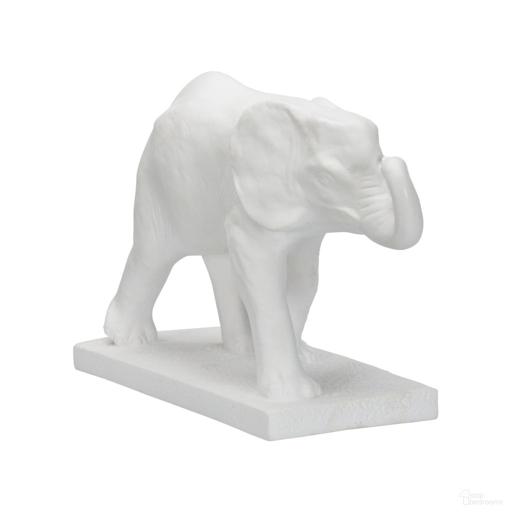 Elephant In White and Cream