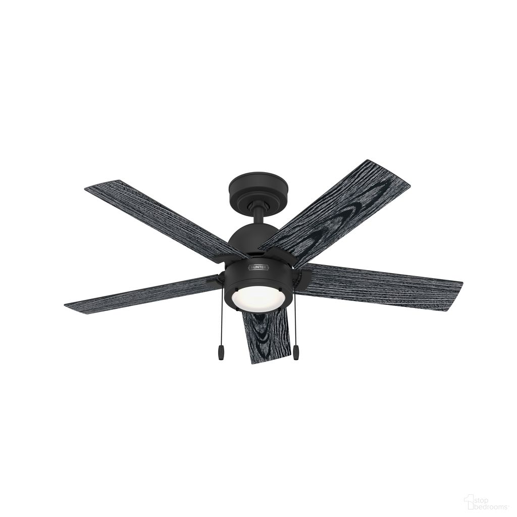 The appearance of Erling 44 Inch Ceiling Fan with LED Light Kit and Pull Chain In Matte Black and Salted Black designed by Hunter Fan in the transitional interior design. This matte black/salted black piece of furniture was selected by 1StopBedrooms from Erling Collection to add a touch of cosiness and style into your home. Sku: 51707. Material: MDF.