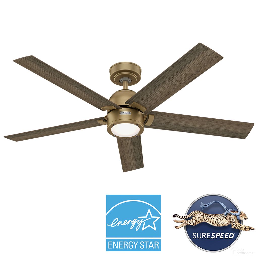 Hunter Fan Erling Ceiling Fan