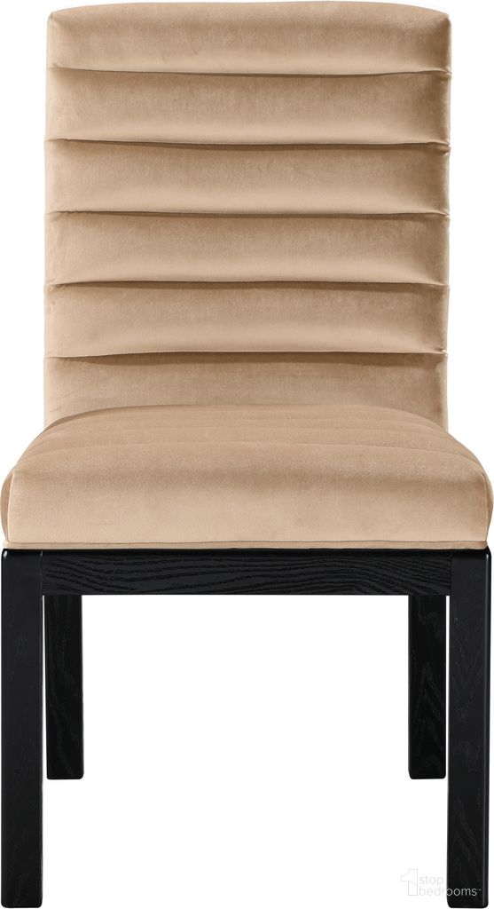 The appearance of Evelyn Velvet Dining Chair In Black and Beige designed by Meridian in the modern / contemporary interior design. This black and beige piece of furniture was selected by 1StopBedrooms from Evelyn Collection to add a touch of cosiness and style into your home. Sku: 902Beige-C. Material: Velvet. Chair Type: Side Chair.