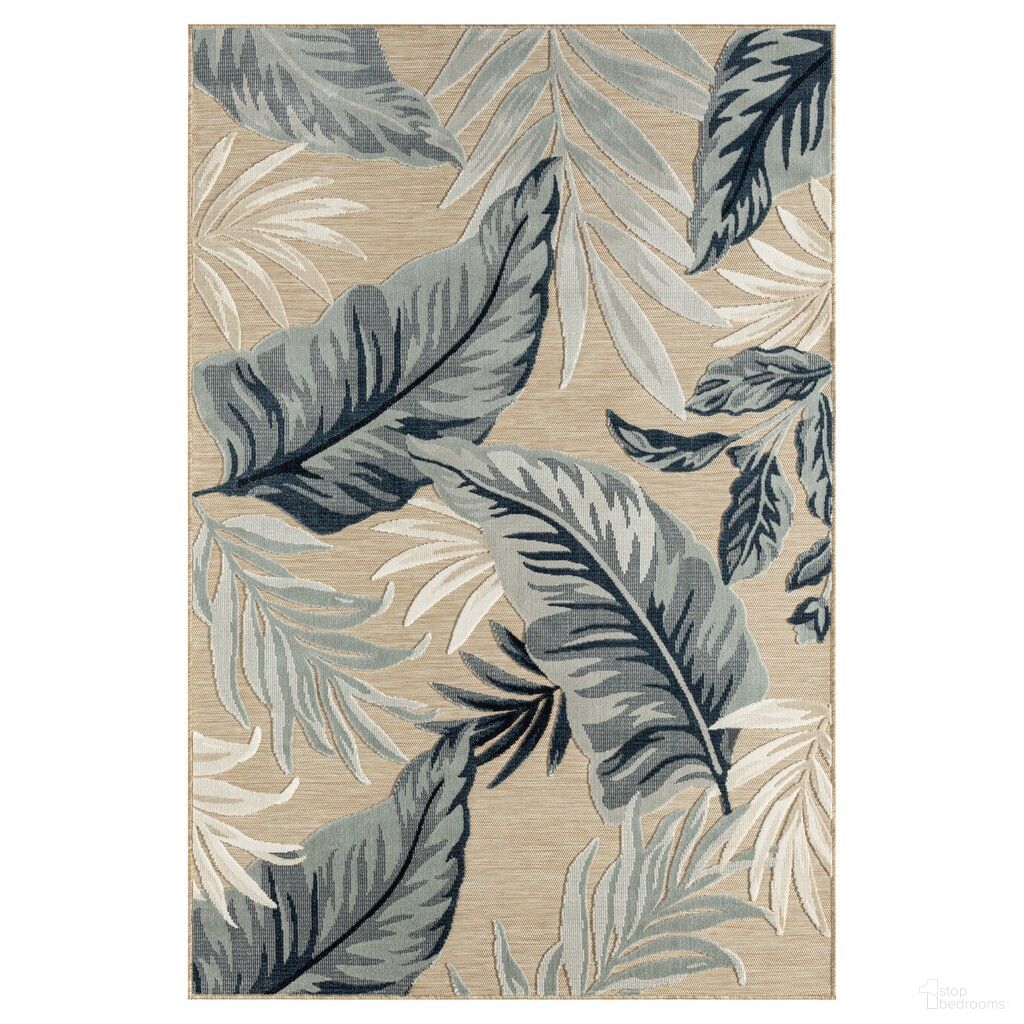 Eyrie 5' x 7' Juneau Palm Leaf Indoor/Outdoor Area Rug In Beige and Blue