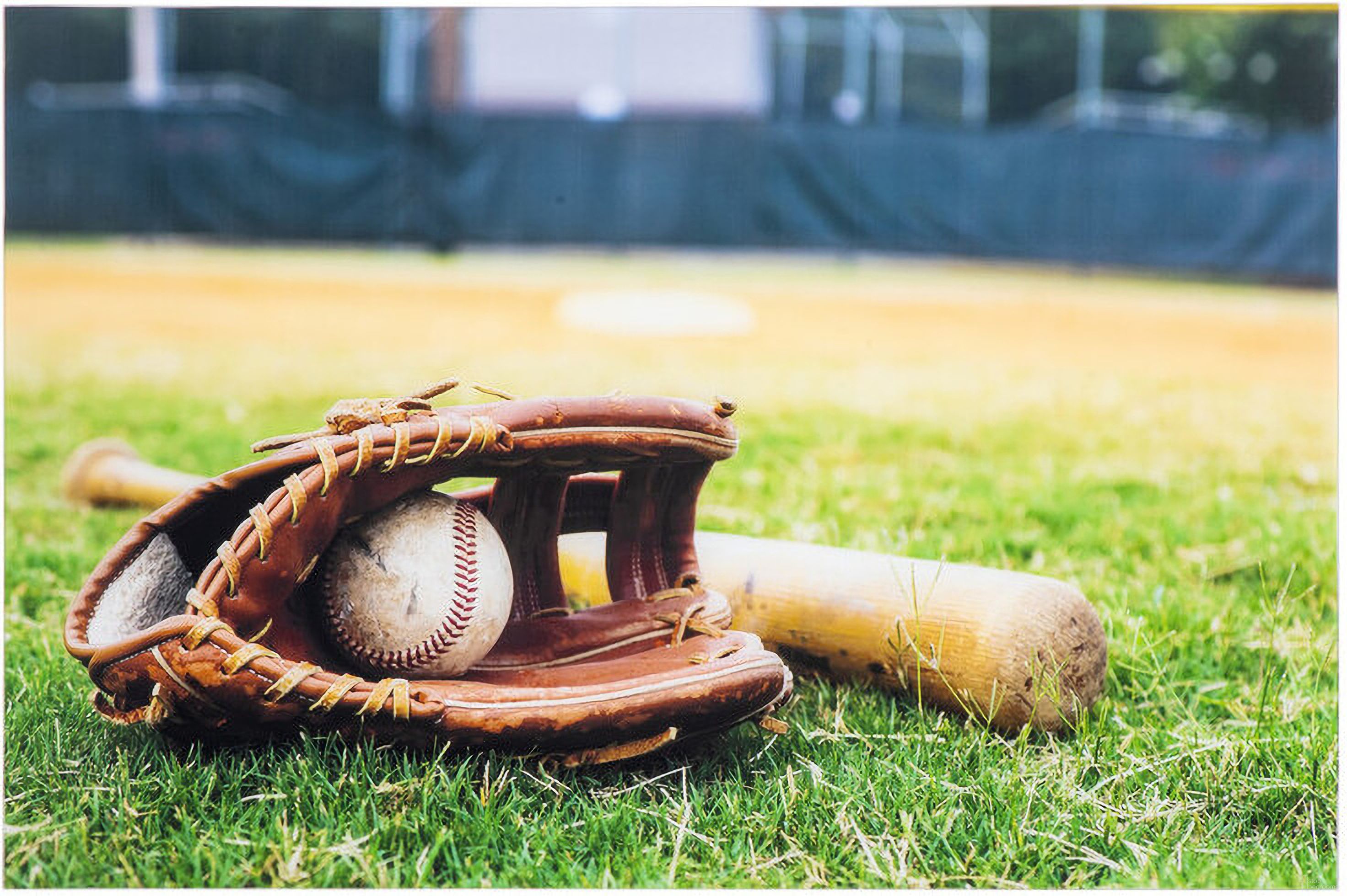 Field of Dreams Wall Art In Multicolor