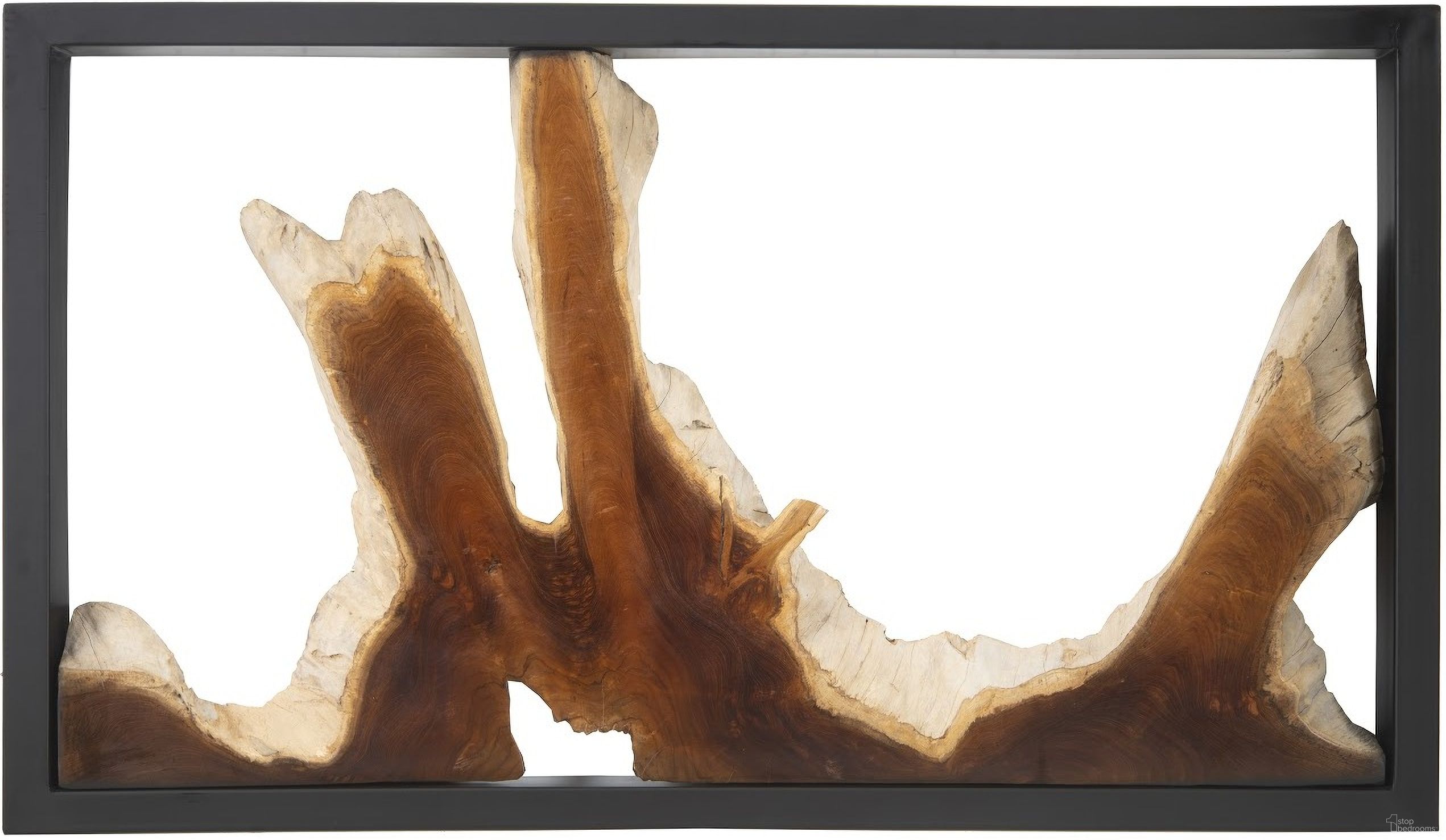 Framed Root Wall Art In Black