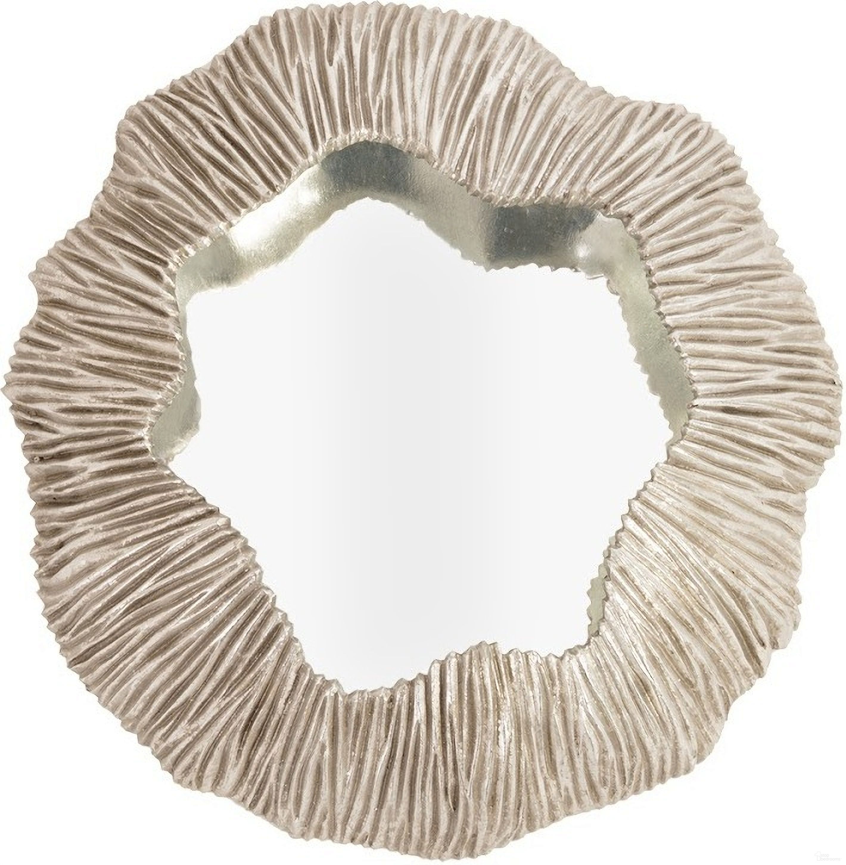 Fungia Mirror