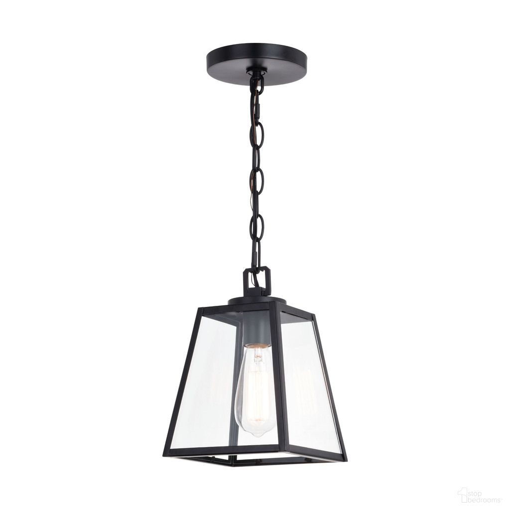 Grant 1 Light Mini Pendant In Black