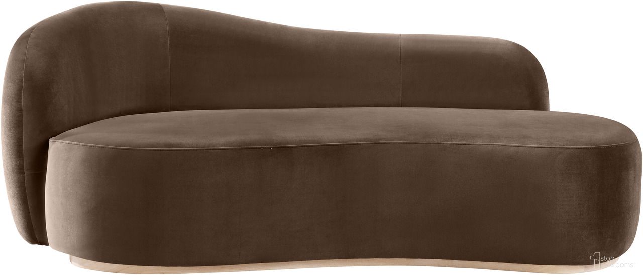 The appearance of Gustavo Velvet Upholstered Chaise In Brown and Natural designed by Meridian in the modern / contemporary interior design. This brown and natural piece of furniture was selected by 1StopBedrooms from Gustavo Collection to add a touch of cosiness and style into your home. Sku: 44081Brown-Chaise. Material: Velvet.