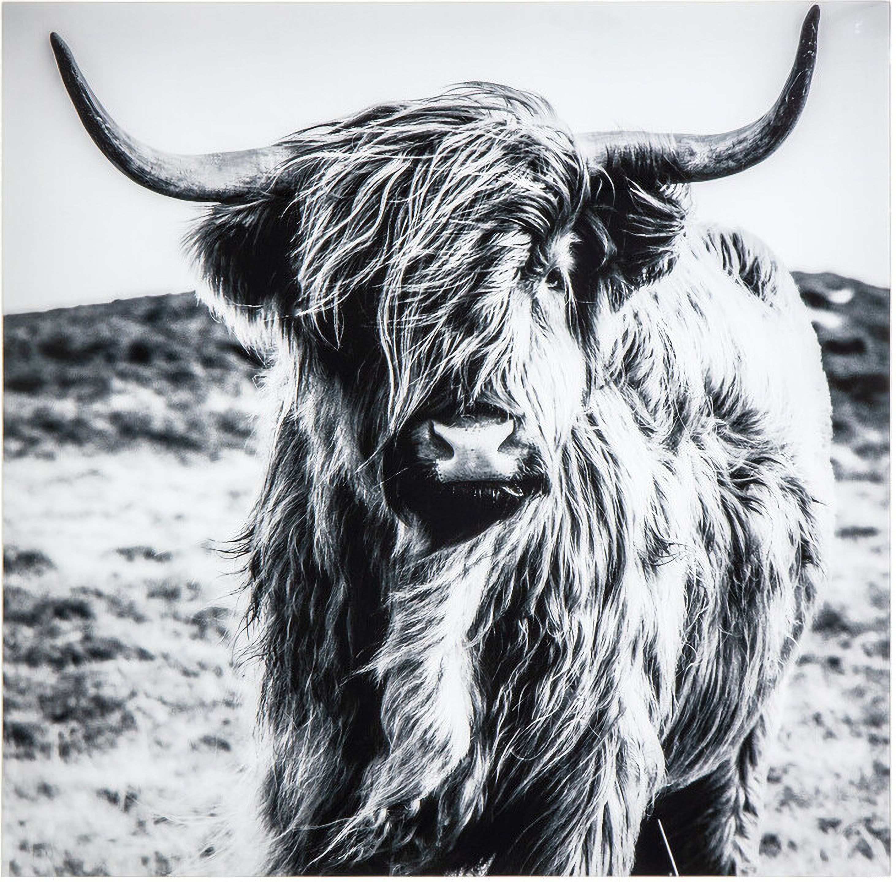 Highland Wall Art In Black