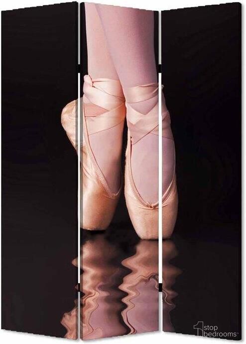 Homeroots Multi Color Wood Canvas Ballet Screen