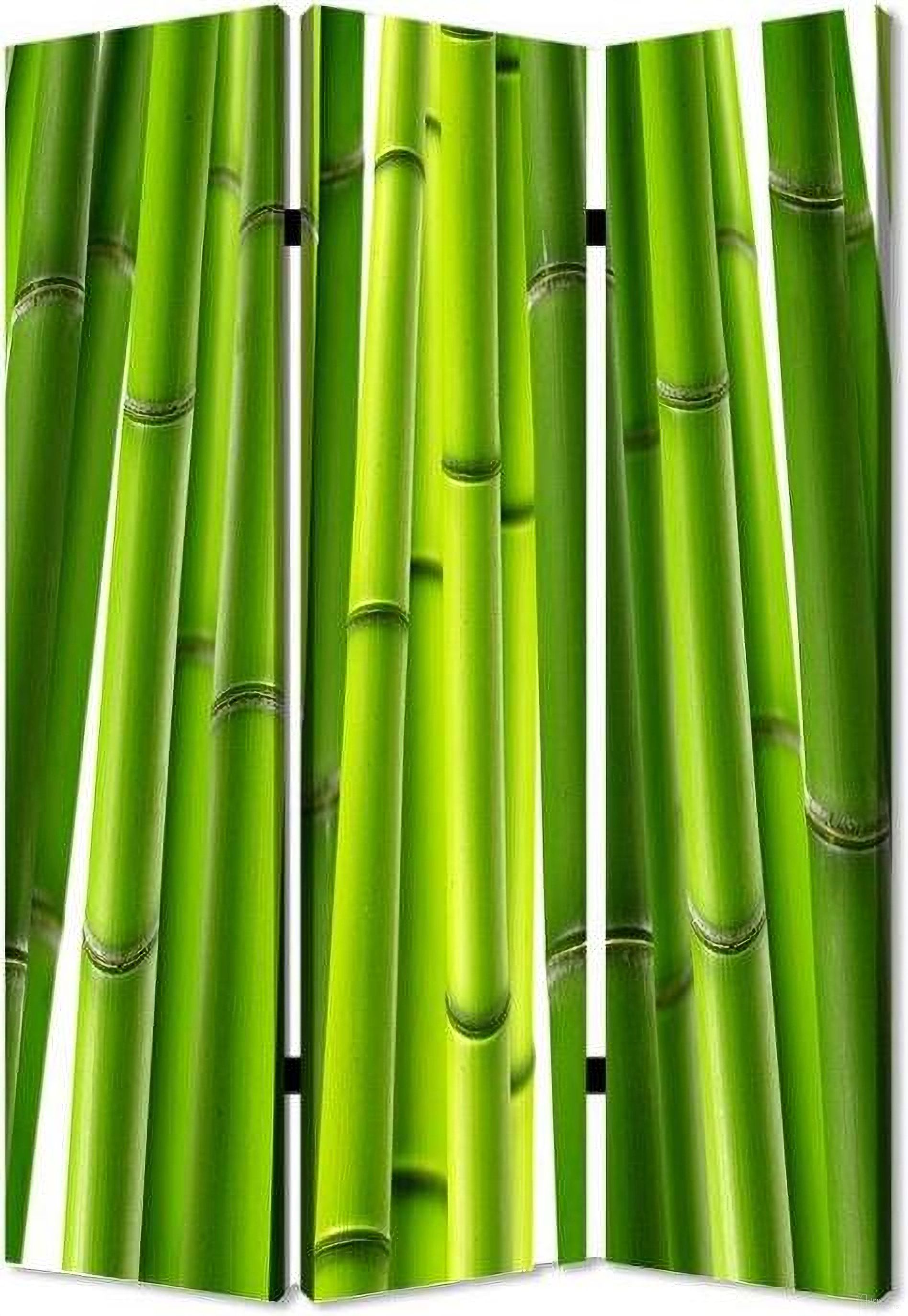 Homeroots Multi Color Wood Canvas Bamboo Screen