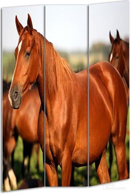 Homeroots Multi Color Wood Canvas Horse Screen 274617